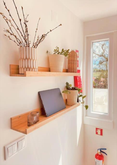 Cozy Apartment With Private Courtyard Barcarena エクステリア 写真