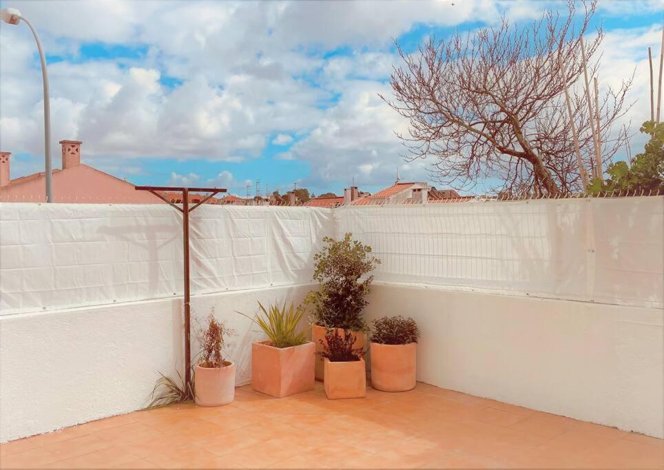 Cozy Apartment With Private Courtyard Barcarena エクステリア 写真