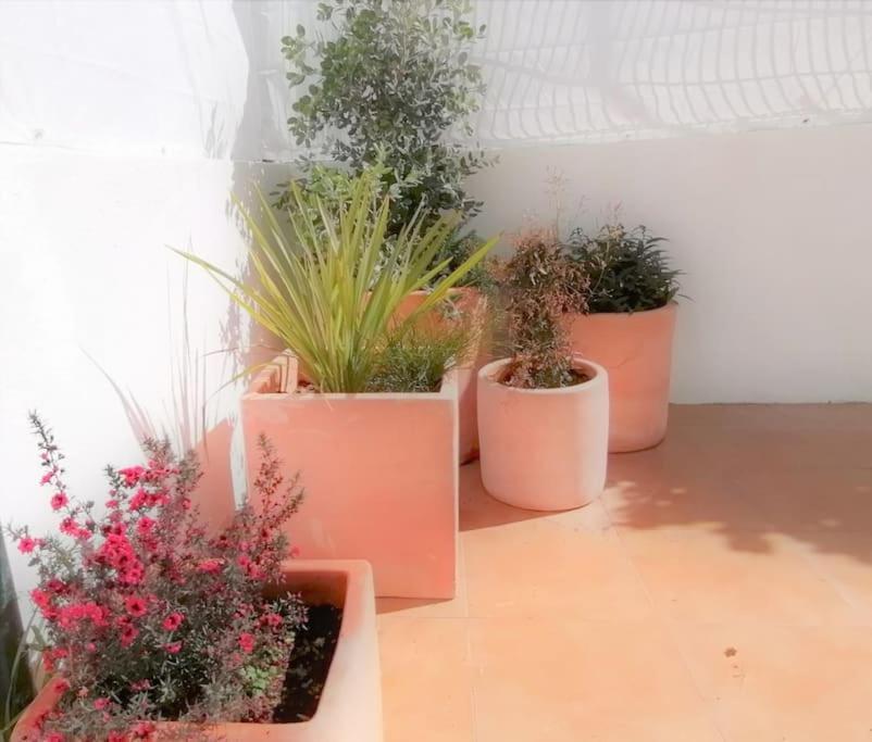 Cozy Apartment With Private Courtyard Barcarena エクステリア 写真